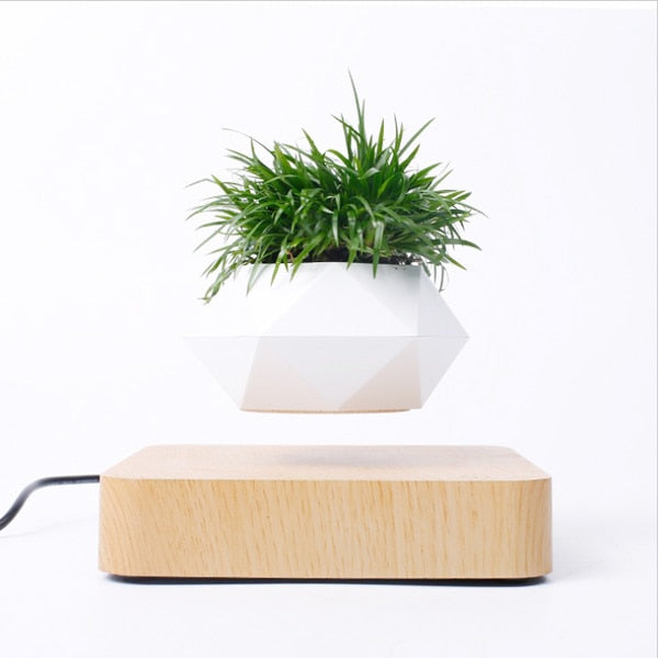 Magnetic Levitating Bonsai Pot